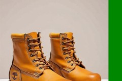 HLE.Peanut冲击第八座LCK冠军：团队协作铸就赛季表现，达成职业生涯里程碑